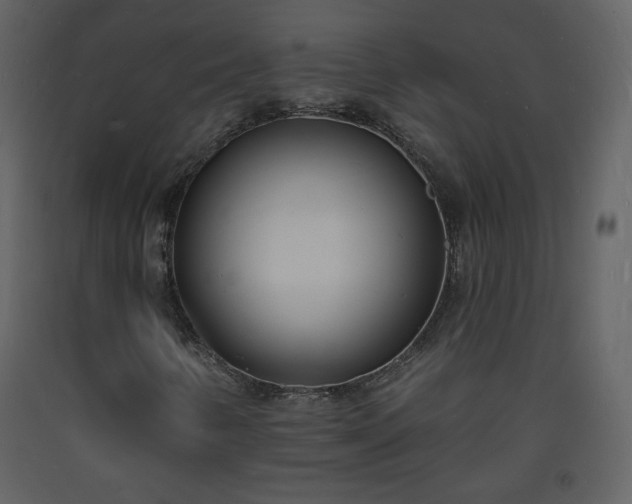 X0000093601346200710221539