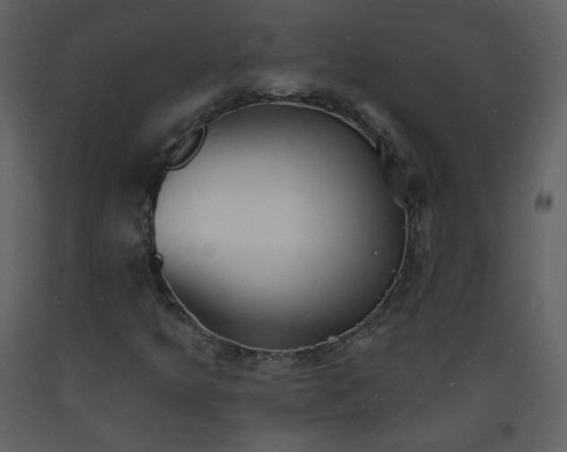 X0000093601349200710221539