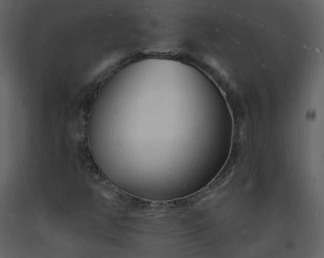 X0000093601350200710221539