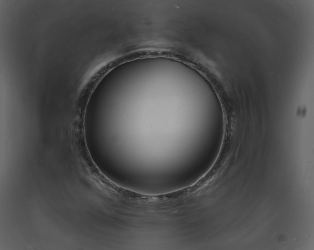 X0000093601352200710221539