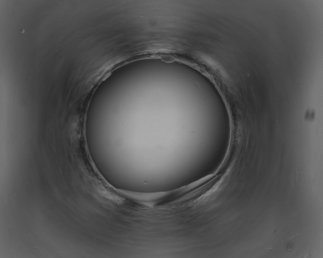 X0000093601353200710221539