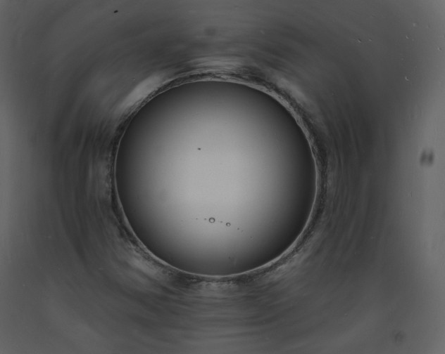 X0000093601354200710221539