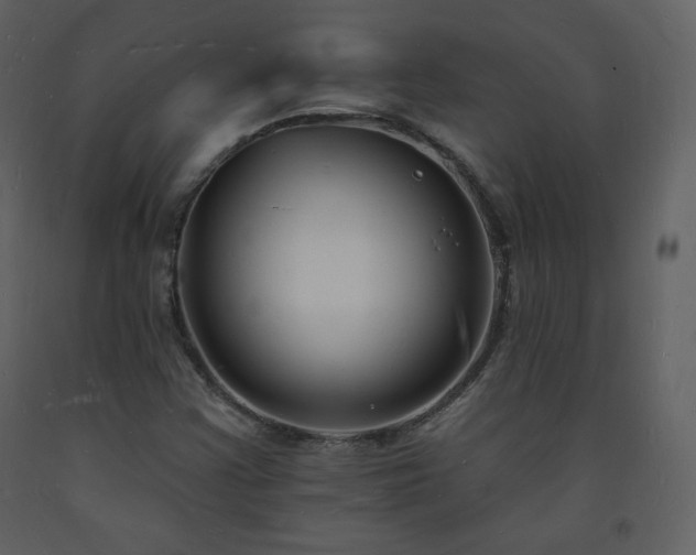 X0000093601355200710221539