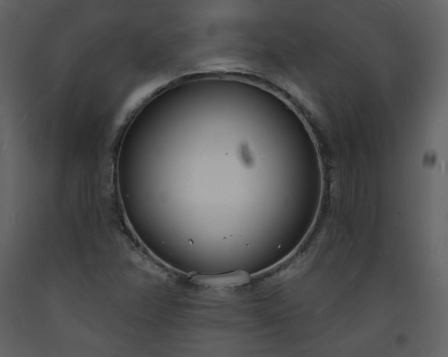 X0000093601358200710221539