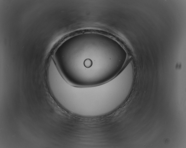 X0000093601360200710221539