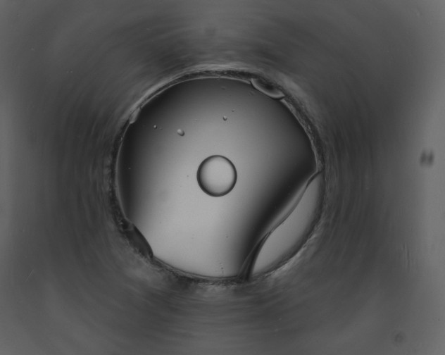 X0000093601361200710221539