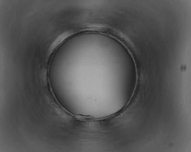 X0000093601362200710221539