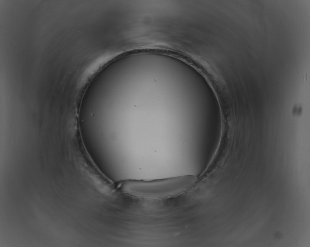 X0000093601363200710221539