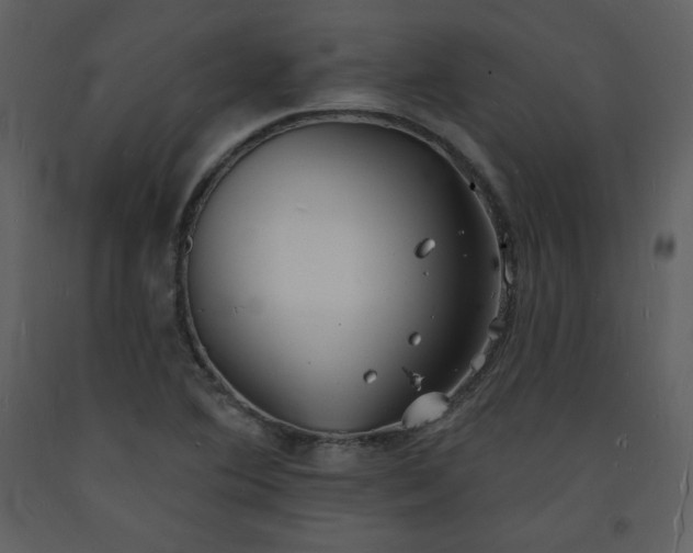 X0000093601364200710221539