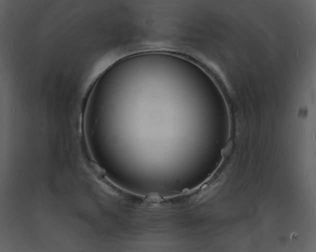 X0000093601365200710221539