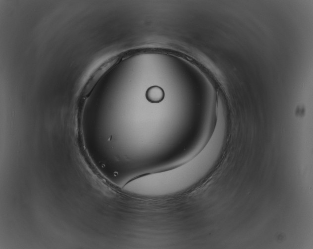 X0000093601368200710221539