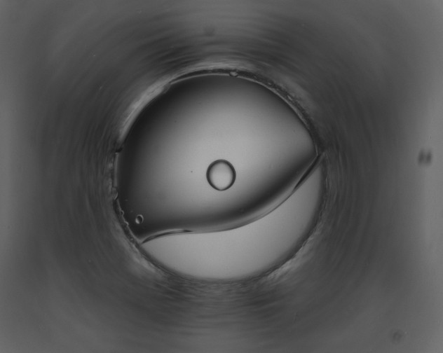 X0000093601369200710221539