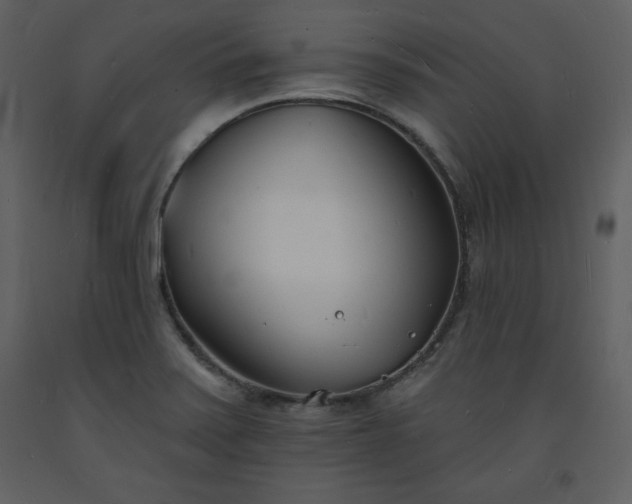 X0000093601371200710221539