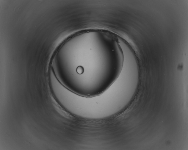 X0000093601372200710221539