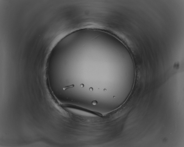 X0000093601375200710221539