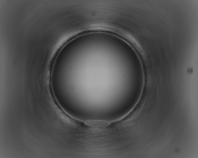 X0000093601376200710221539