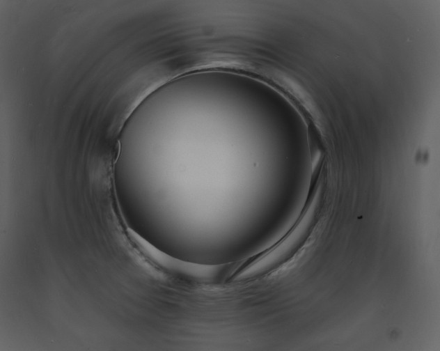 X0000093601377200710221539