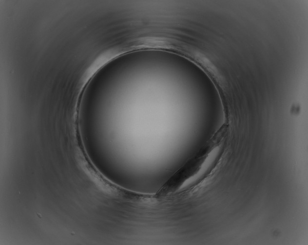 X0000093601378200710221539