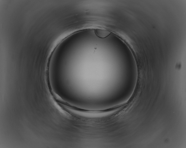 X0000093601379200710221539