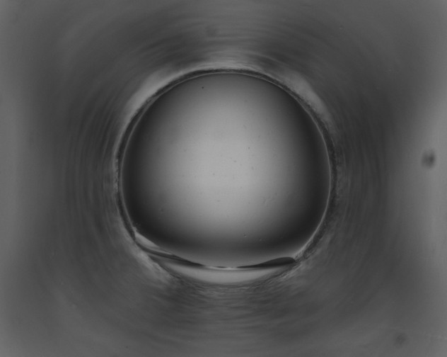 X0000093601380200710221539