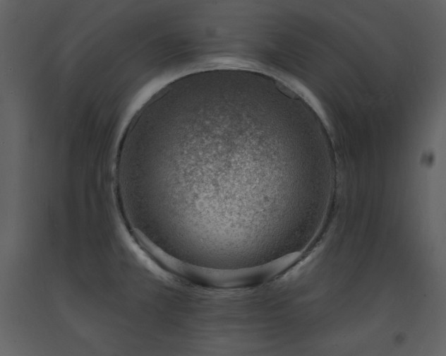 X0000093601381200710221539