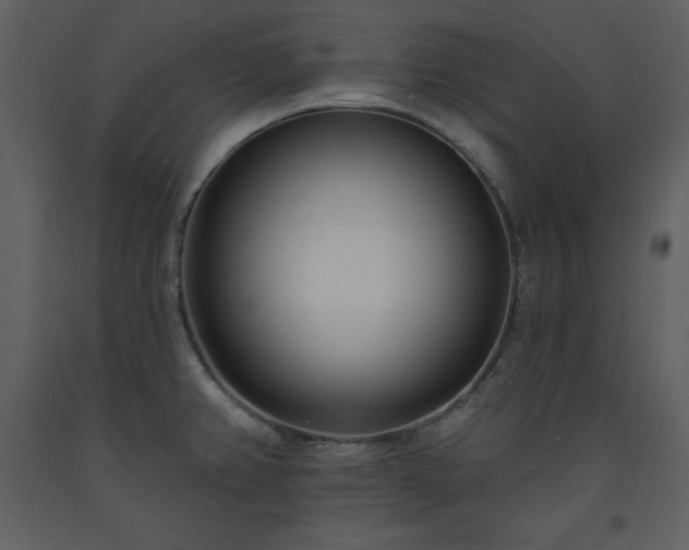 X0000093601382200710221539