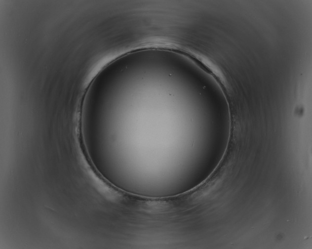 X0000093601383200710221539