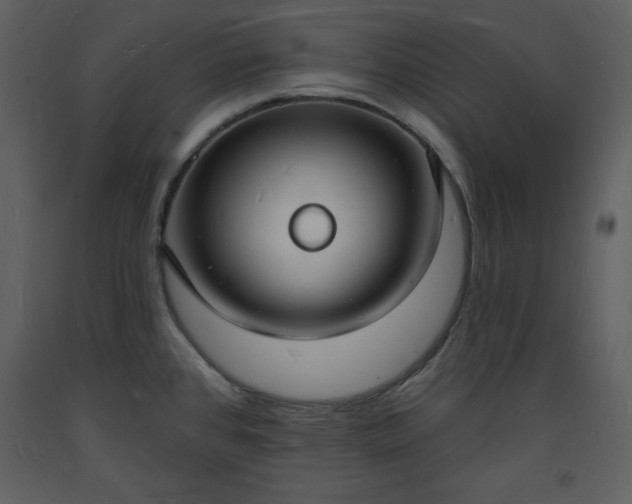 X0000093601384200710221539