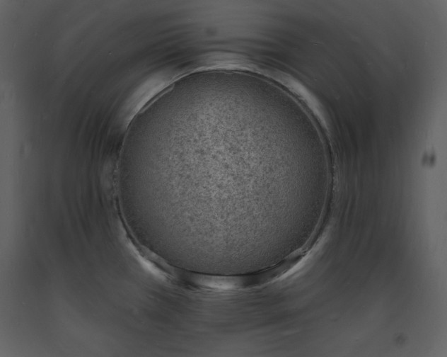 X0000093601385200710221539