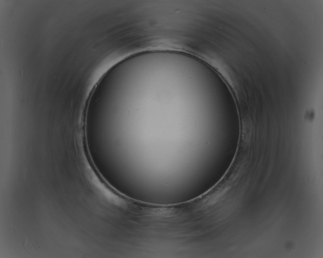 X0000093601387200710221539