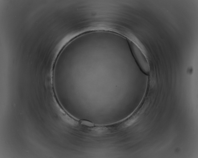 X0000093601388200710221539