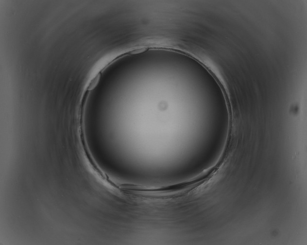 X0000093601389200710221539