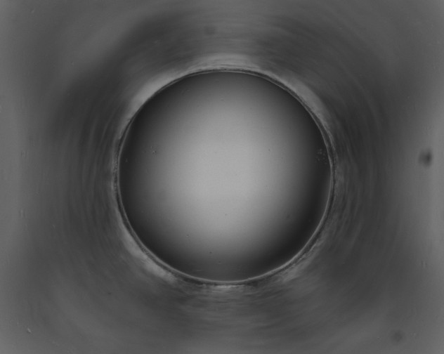 X0000093601390200710221539