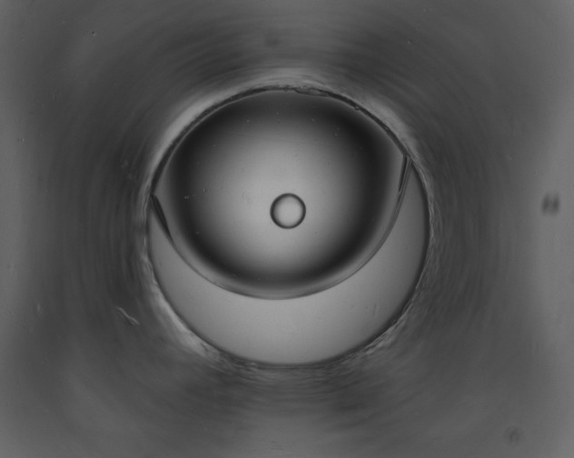 X0000093601392200710221539