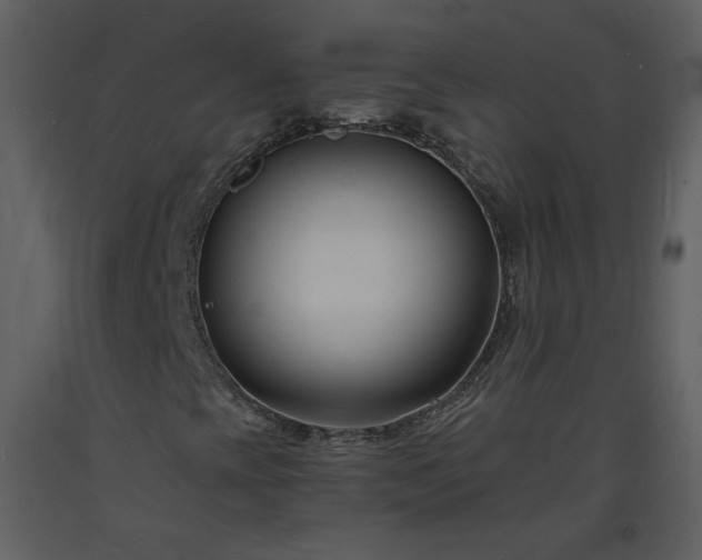 X0000093601393200710221538