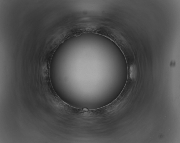 X0000093601395200710221538