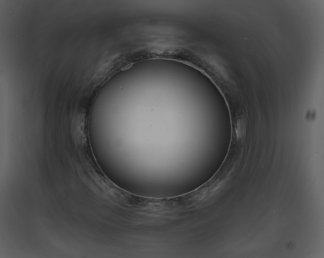 X0000093601396200710221538