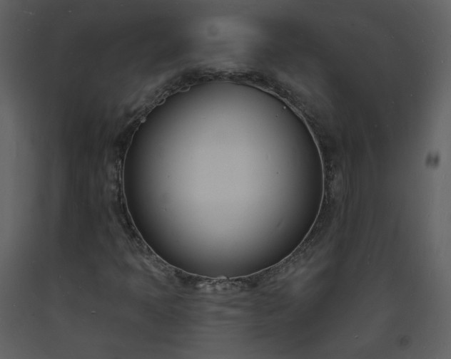 X0000093601397200710221538