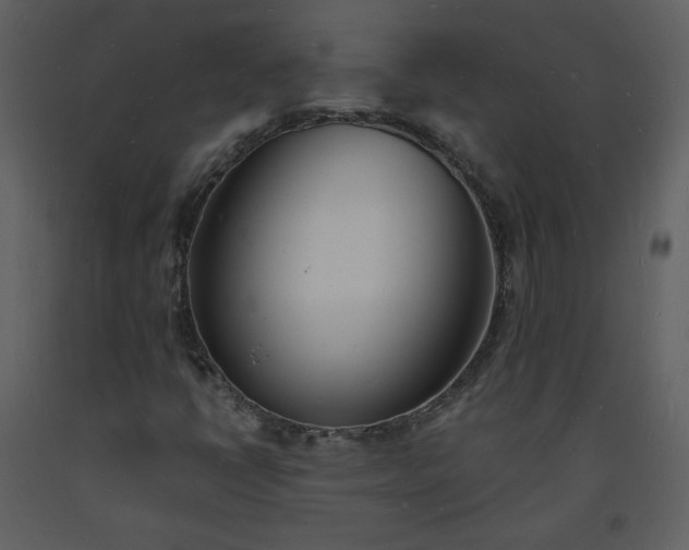 X0000093601398200710221538