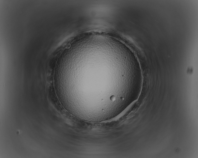 X0000093601399200710221538