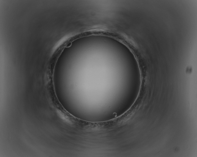 X0000093601400200710221538