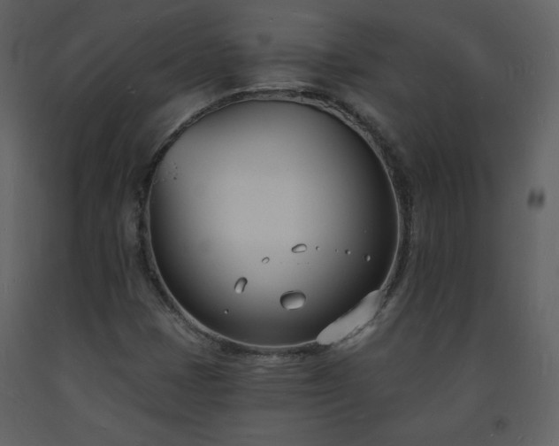 X0000093601401200710221538