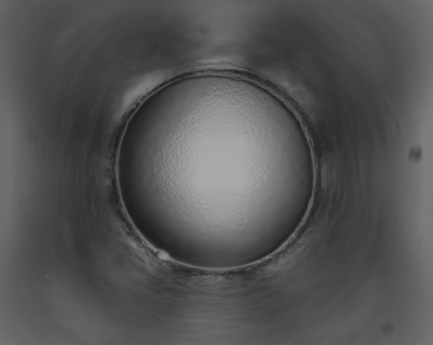 X0000093601405200710221538