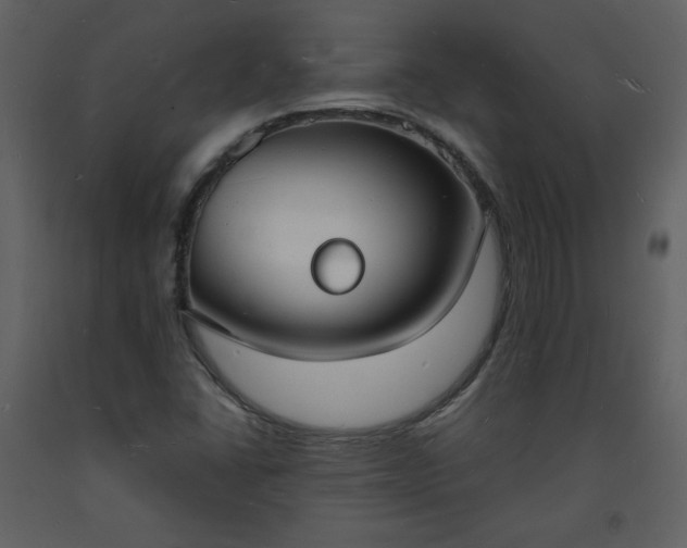 X0000093601406200710221538