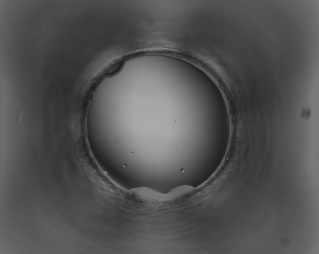 X0000093601407200710221538