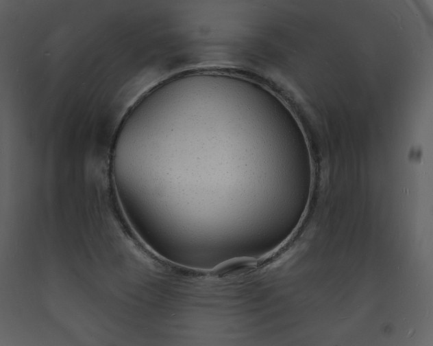 X0000093601409200710221538