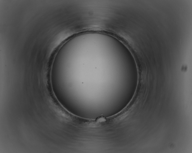 X0000093601410200710221538