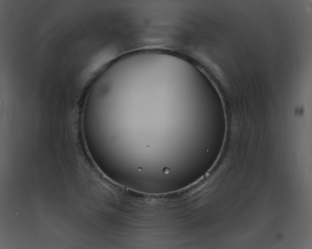 X0000093601411200710221538