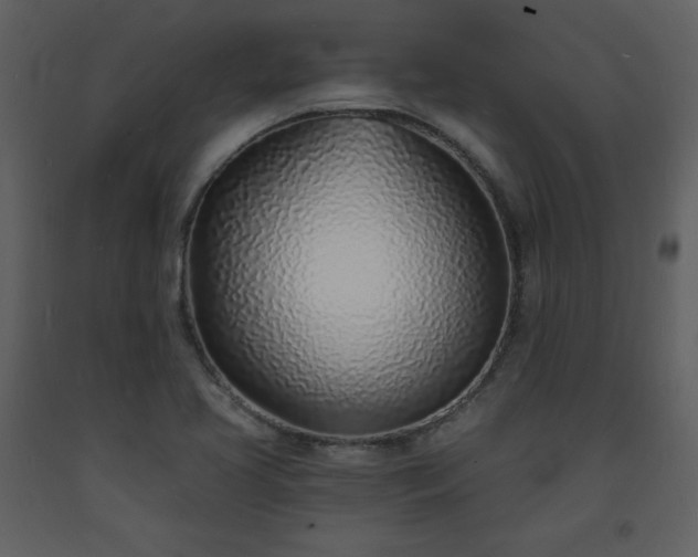 X0000093601413200710221538