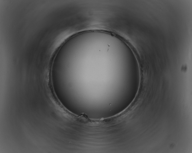 X0000093601415200710221538